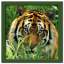 Wild animals puzzle: Jigsaw app archived