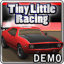 Tiny Little Racing Demo app archived