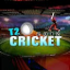 T20 Cricket 2012 app archived