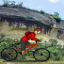 Mountain Bike by freeonlinegames.com app archived
