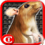 Sewer Rat Run! 3D app archived
