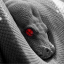 Snake by Live Background app archived
