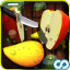 Fruit Cutter by ICLOUDZONE INC. app archived
